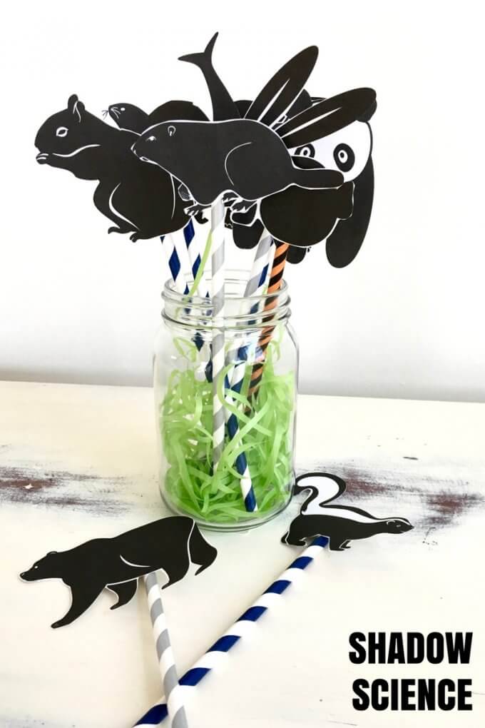 A jar contains straws with black silhouettes of animals attached to them (preschool science)