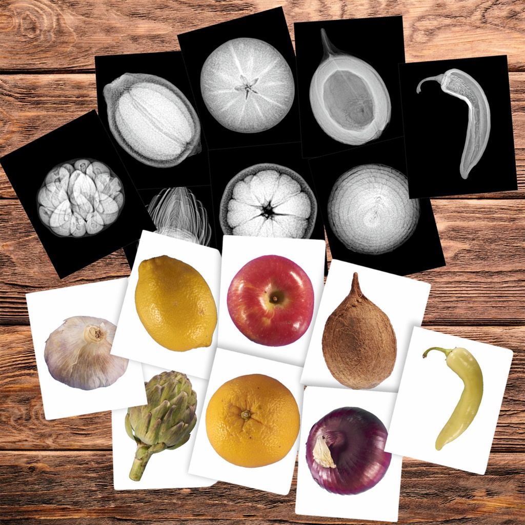 Plant X-Rays & Picture Cards_3