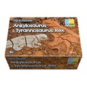 Ankylosaurus & Tyrannosaurus Rex Dig and Discover_1