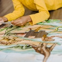Dinosaurs 48 Piece Floor Puzzle_6
