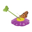 Butterfly Farm with Prepaid Voucher (7510 ILP)