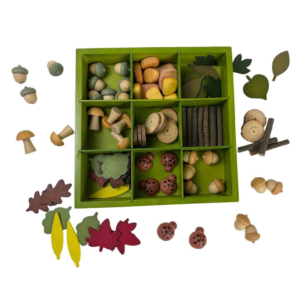 Nature's Sorting Box