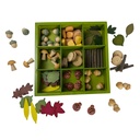 Nature's Sorting Box