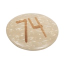 10007 CE#4