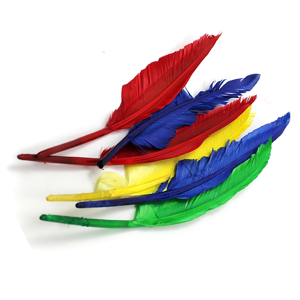 Quill Feathers, 10" & 12", 6 Per Pack, 12 Packs