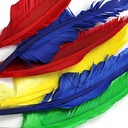 Quill Feathers, 10" & 12", 6 Per Pack, 12 Packs