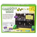 Sprout and Grow Window