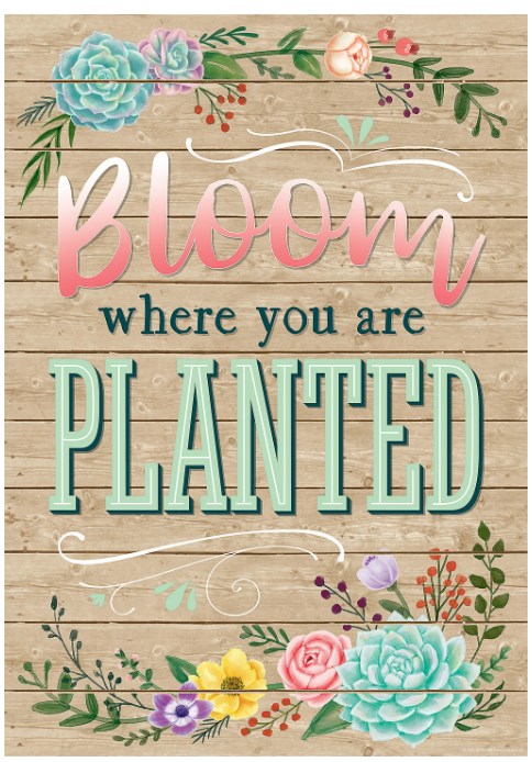 Rustic Bloom Succulents Positive Poster Set