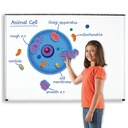 Giant Magnetic Animal Cell