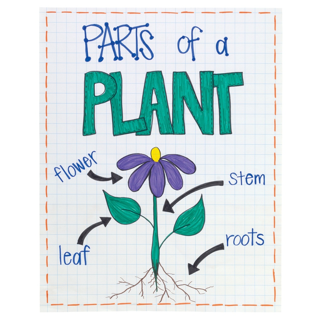 25sht HD Anchor Chart Pad Grid Ruled 24 x 32