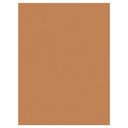 9x12 Brown Sunworks Construction Paper 50ct Pack