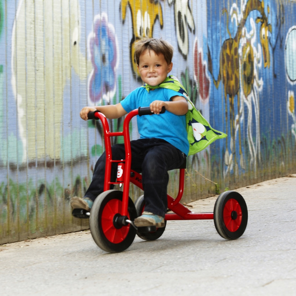 Large Viking Tricycle