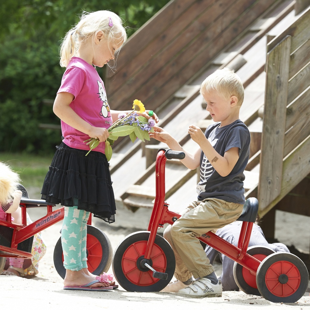 Medium Viking Tricycle