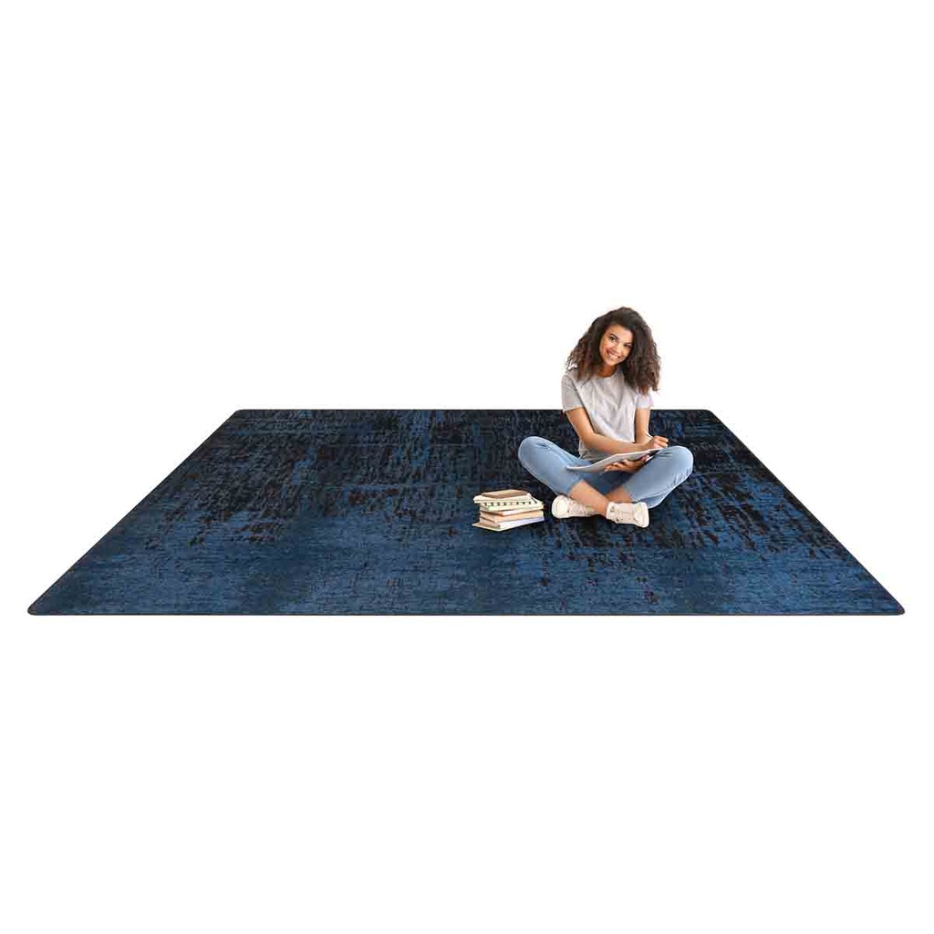 Coastal Canvas Area Rug