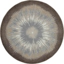 Rare Earth Area Rug