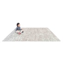 Stretched Thin Area Rug