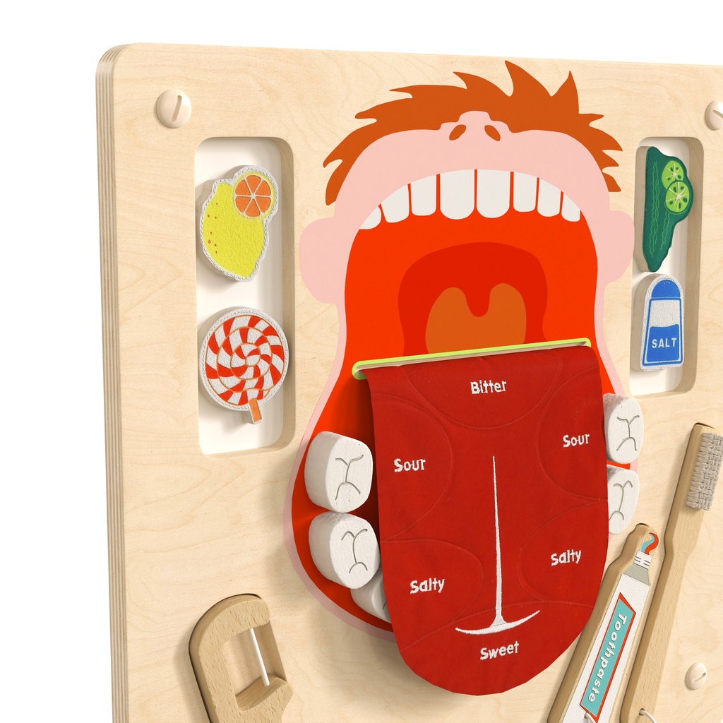 Dental Hygiene Activity Board Accessory Panel