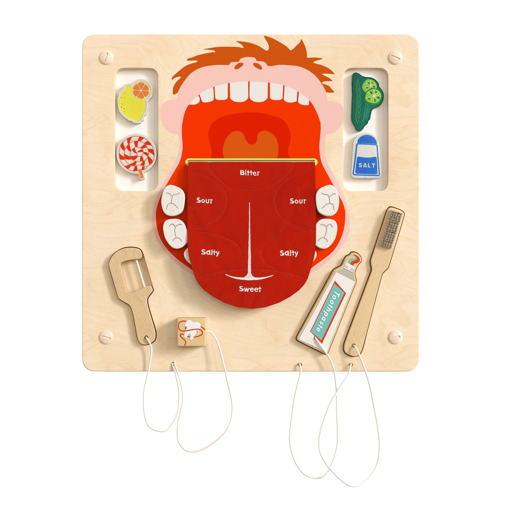 Dental Hygiene Activity Board Accessory Panel