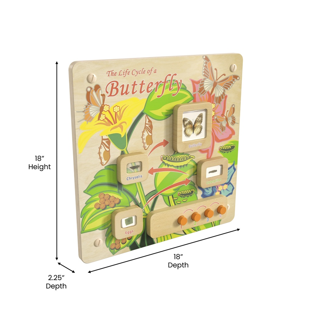 Butterfly Life Cycle Activity Board Accessory Panel