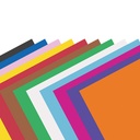 Assorted Color Railroad Poster Board 22x28 Pack of 25
