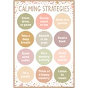 Terrazzo Tones Positive Practices Small Poster Pack