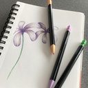 12ct Refillable Mechanical Colored Pencils