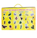 Life Cycle Figurines 24 Piece Set