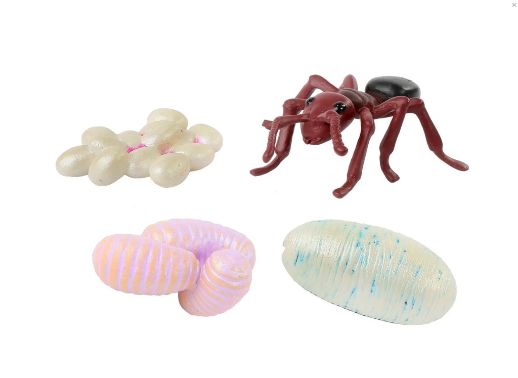 Life Cycle Figurines 24 Piece Set