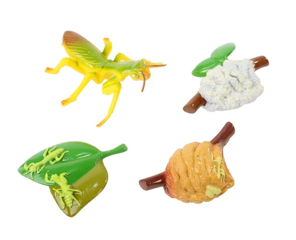 Life Cycle Figurines 24 Piece Set