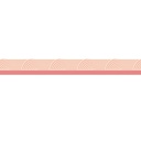 True to You Coral Wave Straight Bulletin Board Borders