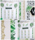 Simply Boho White with Gold Dots Scalloped Borders