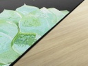 Simply Stylish Succulents 7'6" X 12' Rectangle Carpet 