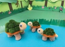 Pom Pon Turtles 3ct Activity Kit 