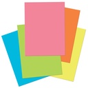 Hot Colors 9" x 12" Construction Paper 50 Sheets