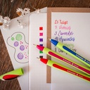 Assorted Schneider Xpress Fineliner Pens 6-Color