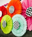 Black, White & Stylish Brights Designer Dots Cut-Outs