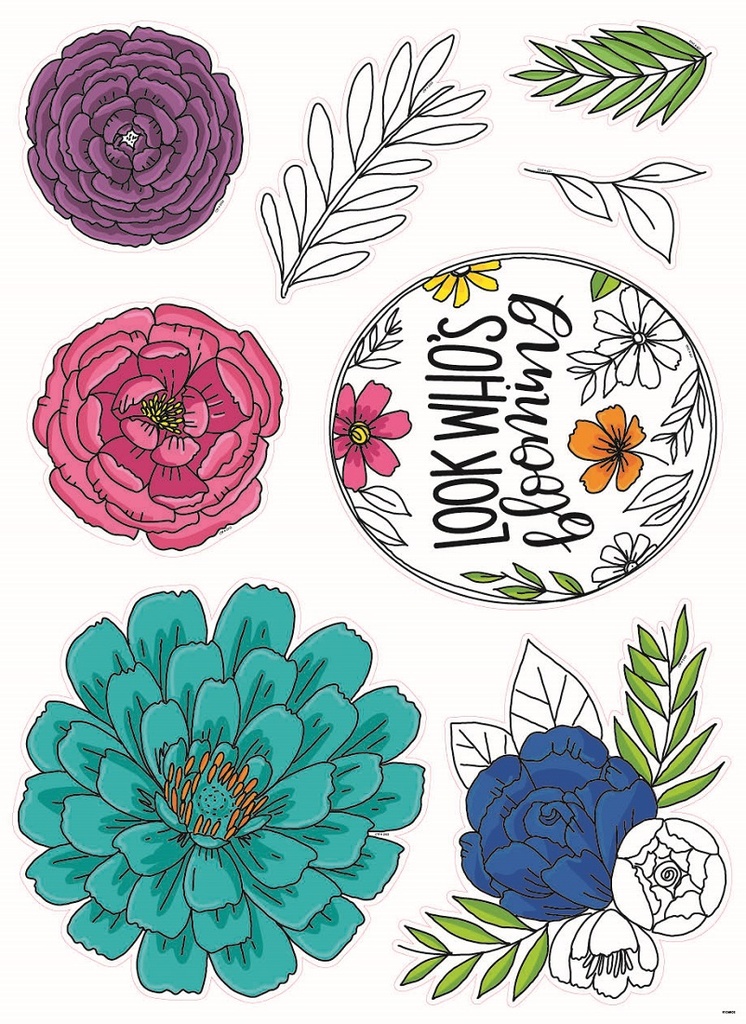 Blooming Minds Bulletin Board Set