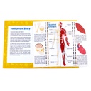 Anatomy Flips
