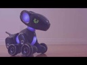 Pyxel The Coding Pet