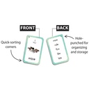 Phonics Flash Cards