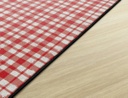 Watercolor Gingham Red 4' X 6' Rectangle
