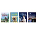 Clear Windows Single Copy 12-book Set 