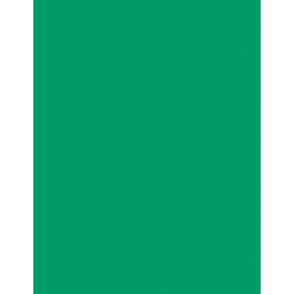 Acid Free Card Stock 8 1/2" x 11" 100 Sheets