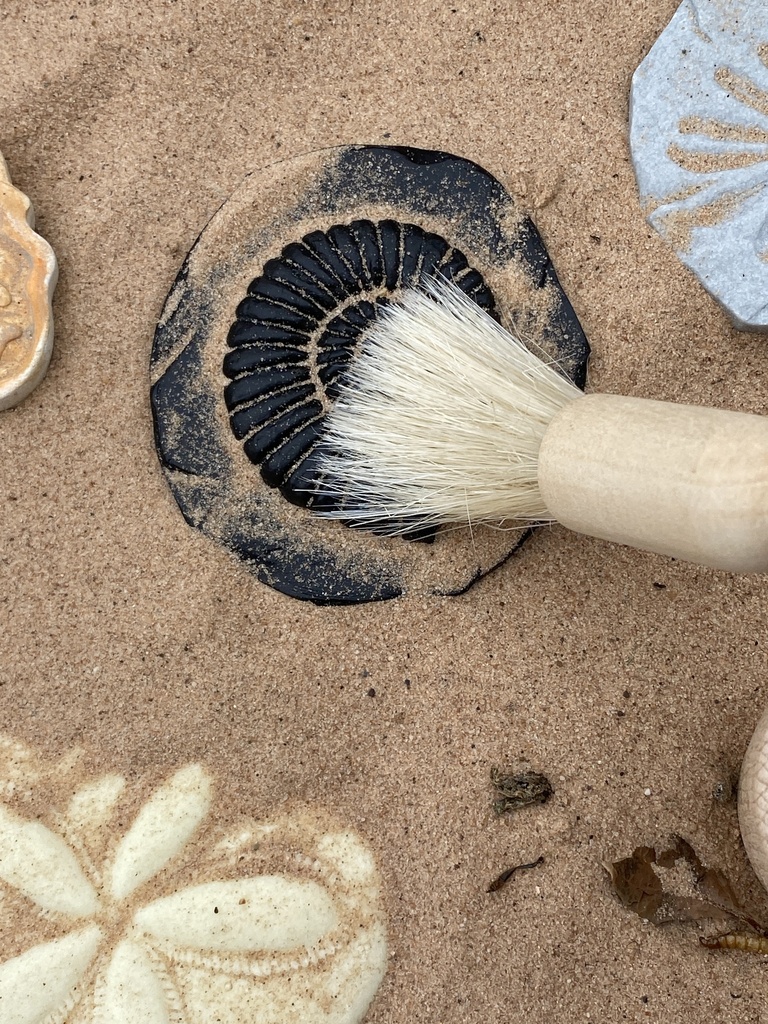 Let's Investigate Fossil Stone