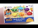 Birds in a Nest Sorting Set