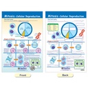 Cells Bulletin Board Chart Set Grades 3-5_6
