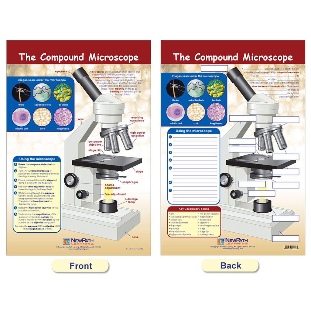 Cells Bulletin Board Chart Set Grades 3-5_8