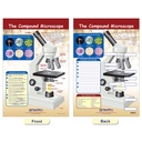 Cells Bulletin Board Chart Set Grades 3-5_8