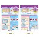 Cells Bulletin Board Chart Set Grades 3-5_9