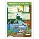 Food Chains & Food Webs Learning Center_2